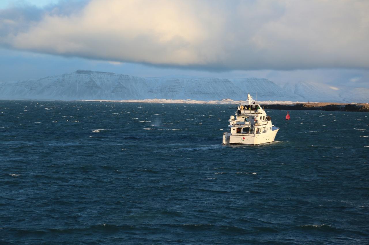 Umhverfismynd fyrir starfssvið: Flutninga- og sjóréttur